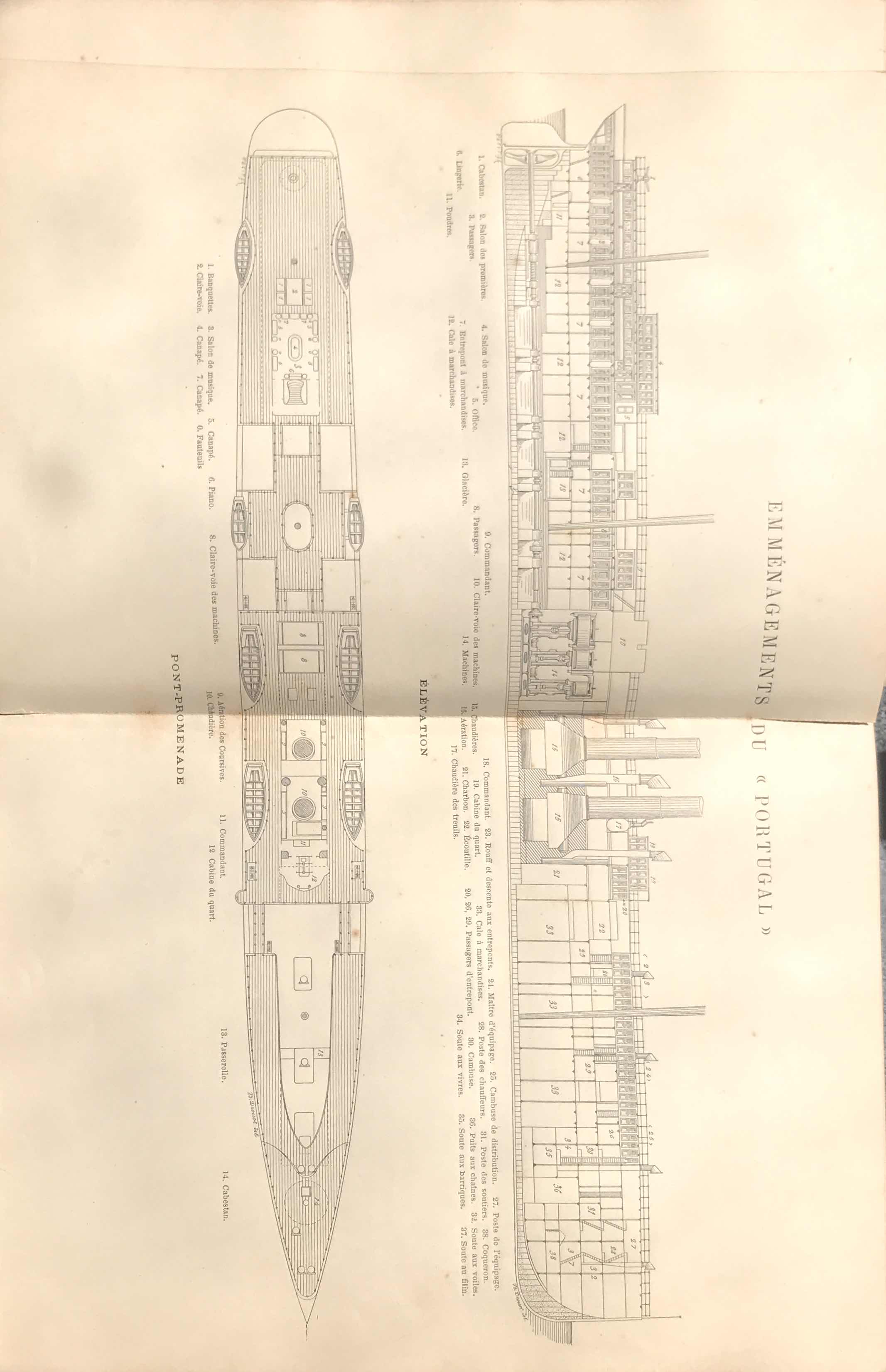 Ship Plan of a Late-19th Century Steamship