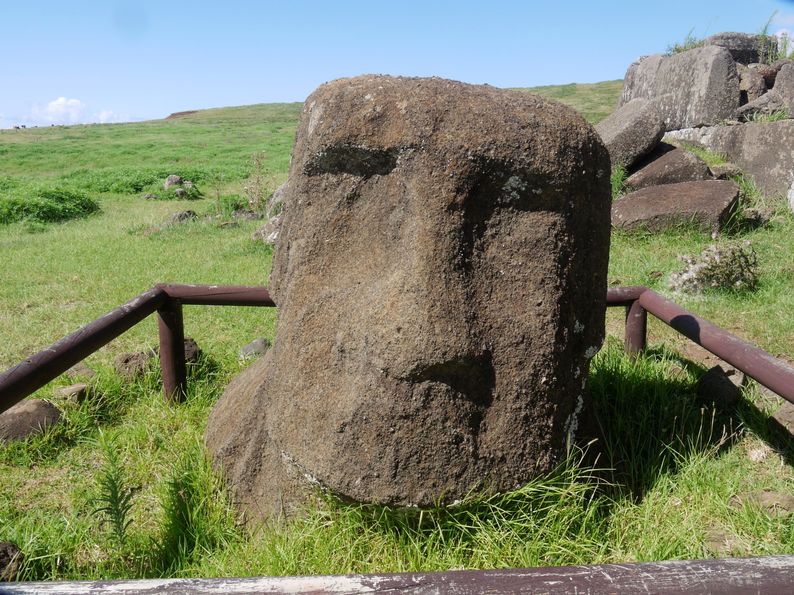 A moai with a large head, with distinctive eyes and lips, with the body sinking into the grassy ground. There is a fence around the moai to block people off. 