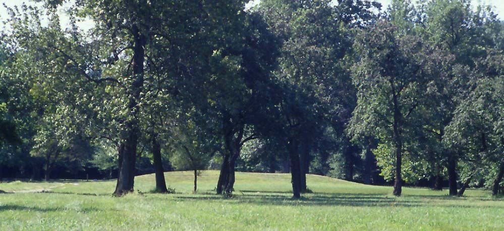 Mound 72, and earthen mound and burial site is pictured. The mound is covered in grass and trees are in front of it. 