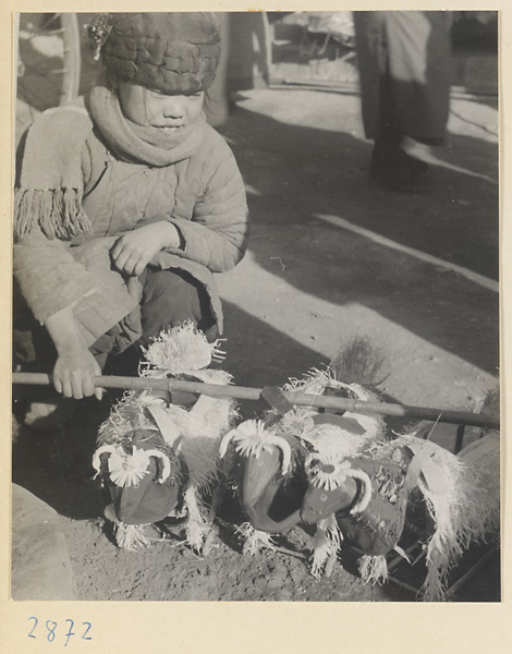 Child playing with toy oxen