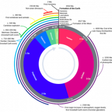 Geologic clock with events and time periods noting the formation of earth and development of life.